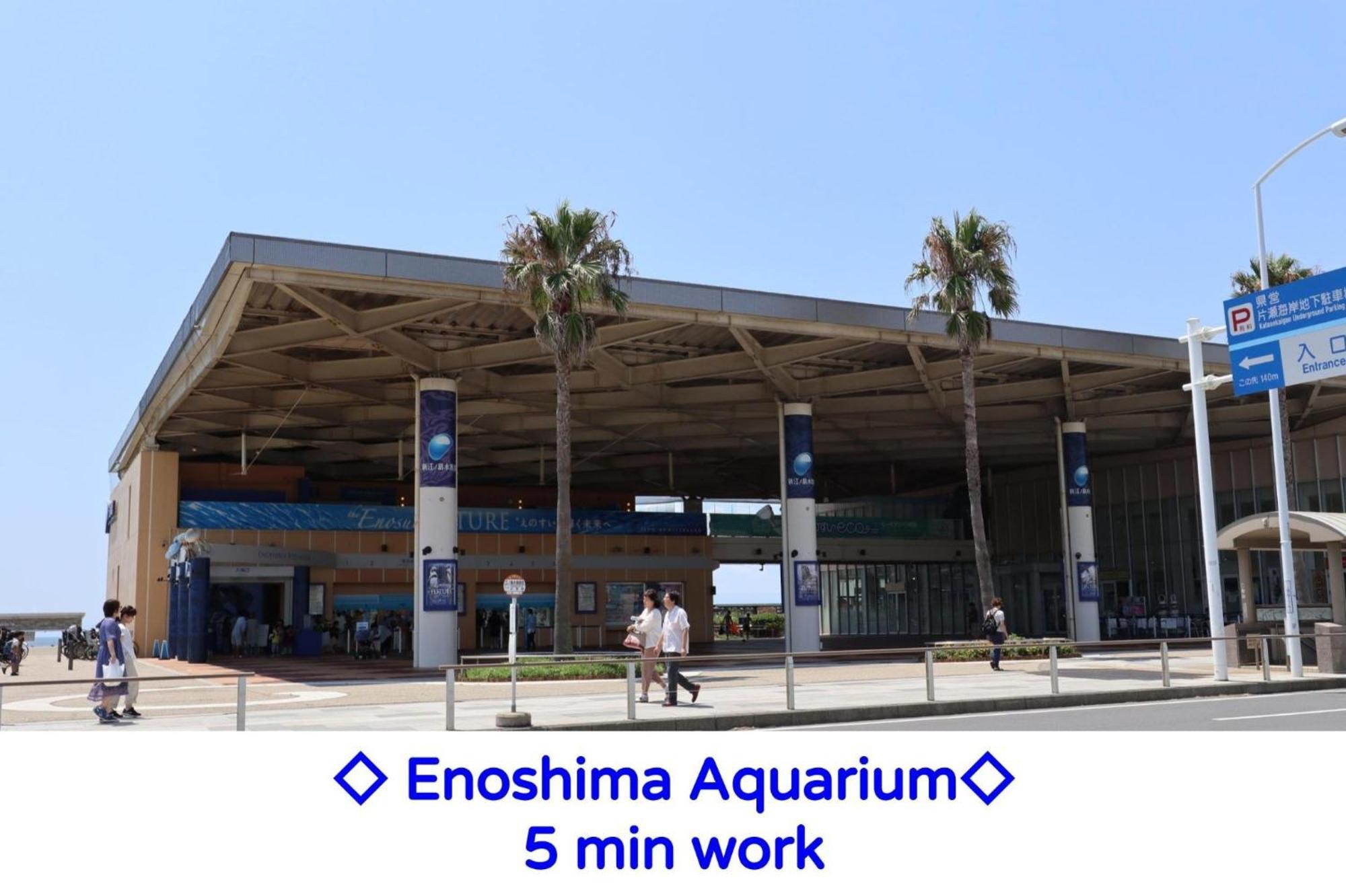 Enoshima Guest House 134 / Vacation Stay 60850 فوجيساوا المظهر الخارجي الصورة